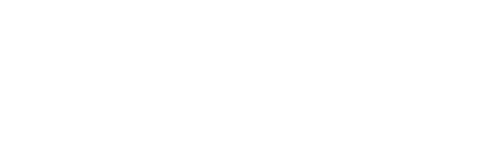 iDigitize